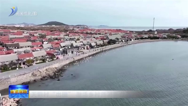 天鹅村“出圈” 激活乡村旅游新业态【威海广电讯】