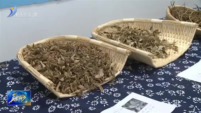 与中医药为伴 共上开学第一课【威海广电讯】