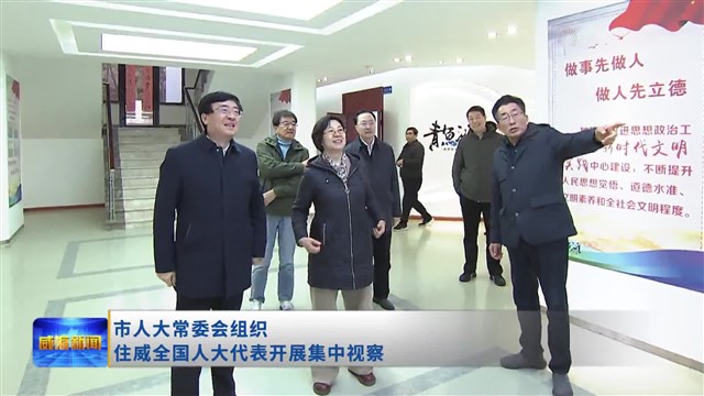 市人大常委会组织住威全国人大代表开展集中视察【威海广电讯】
