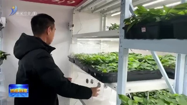 乡村实验室里迎来致富“薯”光【威海广电讯】