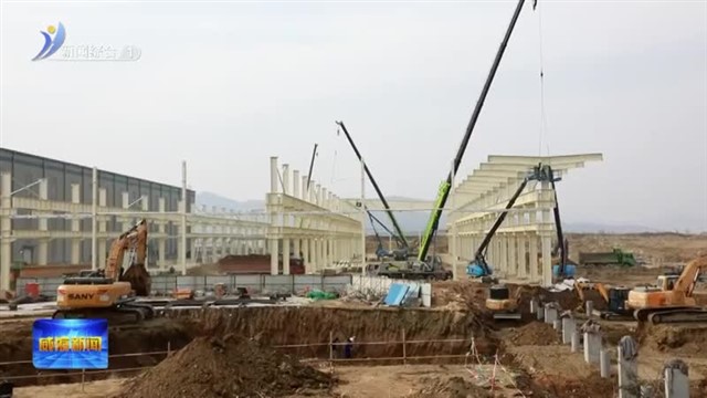 进取之年.我的这一年| 崔佳：忙并快乐着【威海广电讯】