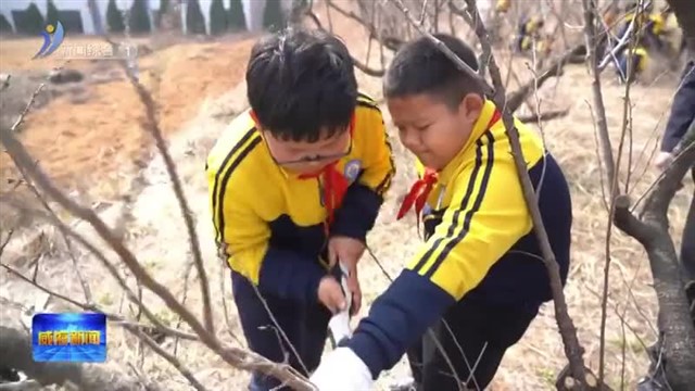 我和樱桃树一起长大【威海广电讯】