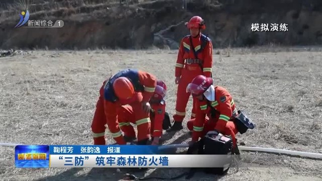 “三防”筑牢森林防火墙 【威海广电讯】