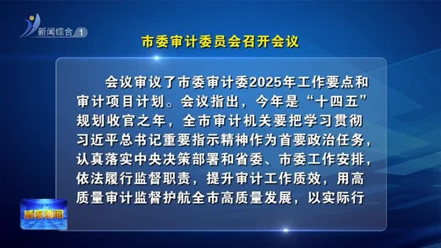 市委审计委员会召开会议【威海广电讯】