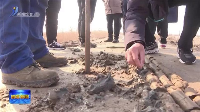 南海新区在全市率先实施考古区域评估【威海广电讯】