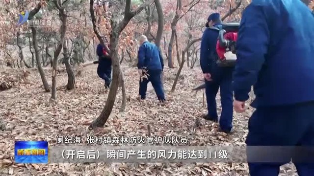 用行动守护翠绿【威海广电讯】