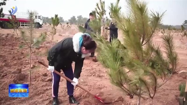 春风十里 共植新绿【威海广电讯】