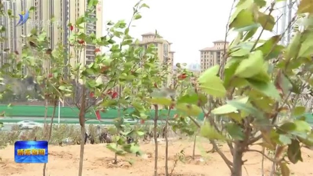 市领导参加义务植树活动 闫剑波督导森林防火工作【威海广电讯】