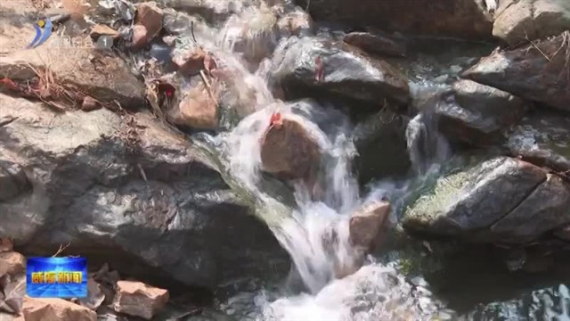 来里口山 共赴春日之约！【威海广电讯】