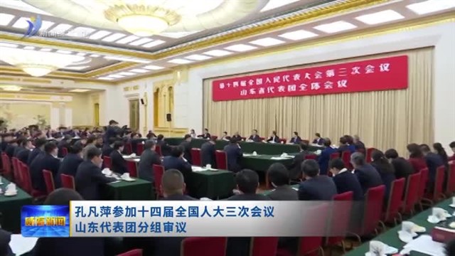 孔凡萍参加十四届全国人大三次会议山东代表团分组审议【威海广电讯】