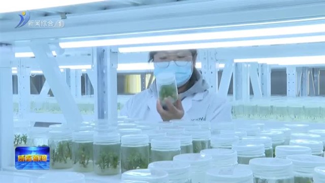 临港区：零距离服务“催生”乡村振兴新动能 【威海广电讯】