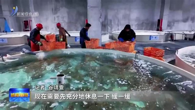 冠和：把“国际鲜”传遍全国