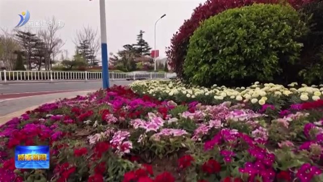 市区街头草花“上新” 扮靓城市“容颜”