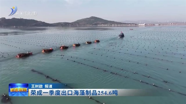 荣成一季度出口海藻制品254.6吨