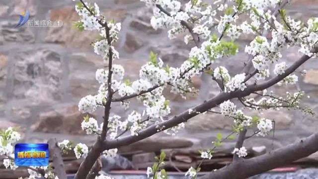 春日里口山 近郊游好去处