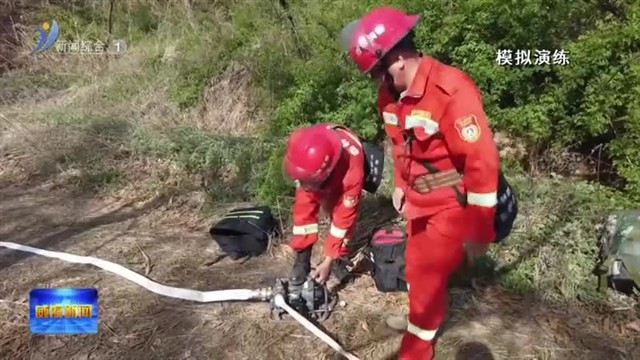 高区开展2025年森林防灭火应急实战演练