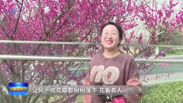 梅花绽放 赴春日之约【威海广电讯】