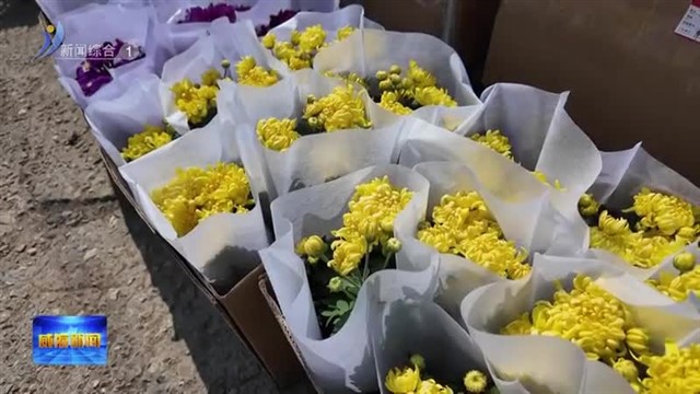 祭扫倡新风 清明更文明【威海广电讯】