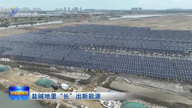 盐碱地里“长”出新能源   【威海广电讯】