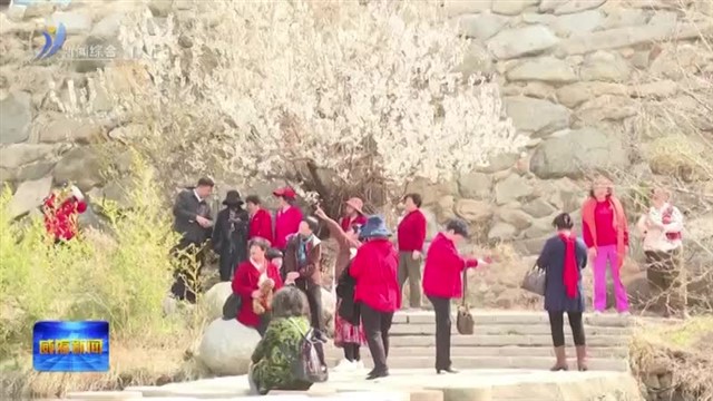 我们的节日|清明假期 踏青赏花享春光【威海广电讯】