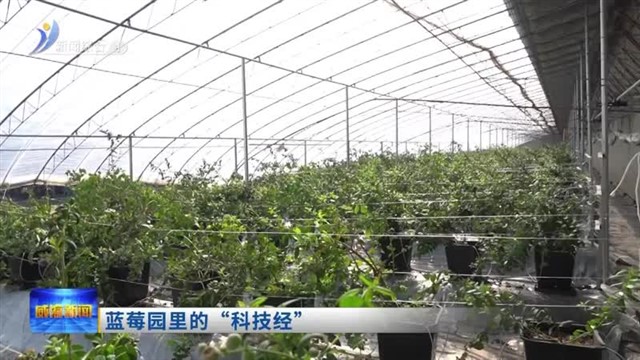 �ٸ����Aɽ����ݮ԰��ġ��Ƽ�����