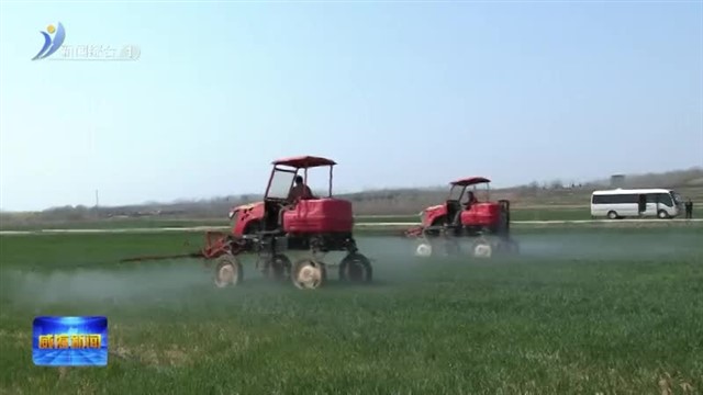 全市春季农业生产暨苹果产业高质量发展现场会召开【威海广电讯】