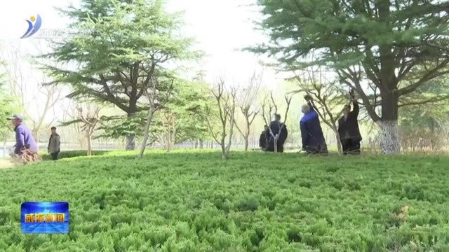 文登区启动春季精细化养护行动
