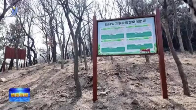 新闻特写：林场“守山人”【威海广电讯】