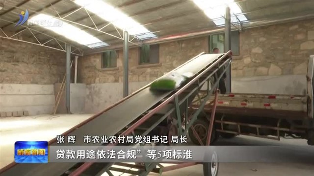 权威发布：金融助力乡村振兴精准对接【威海广电讯】