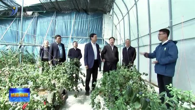 林强调研联系分包重点项目和政协委员企业【威海广电讯】