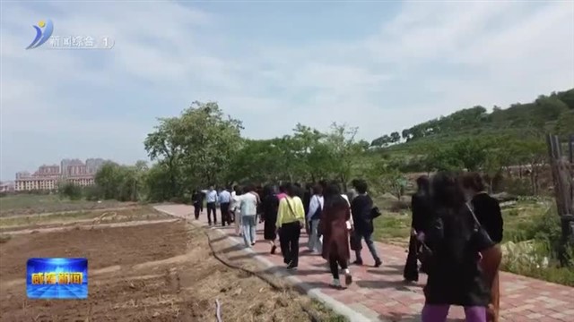 跟党奋进新征程 巾帼建功新时代|新时代的“她力量”