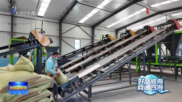 胶东伯瑞：科技赋能 耕耘“莓”好