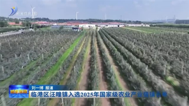 临港区汪疃镇入选2025年国家级农业产业强镇名单