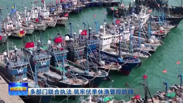多部门联合执法 筑牢伏季休渔管控防线