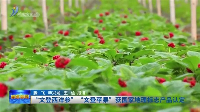 “文登西洋参”“文登苹果”获国家地理标志产品认定