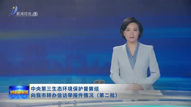 中央第三生态环境保护督察组向我市转办信访举报件情况（第二批）