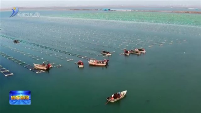 威海再添6个“好品山东”品牌