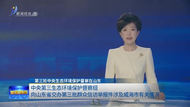 第三轮中央生态环境保护督察在山东|中央第三生态环境保护督察组向山东省交办第三批群众信访举报件涉及威海市