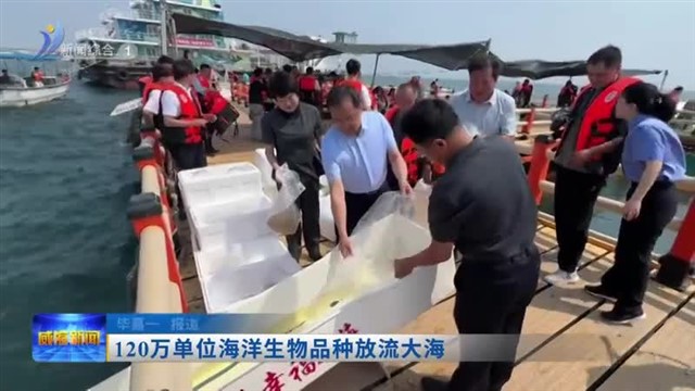 120万单位海洋生物品种放流大海