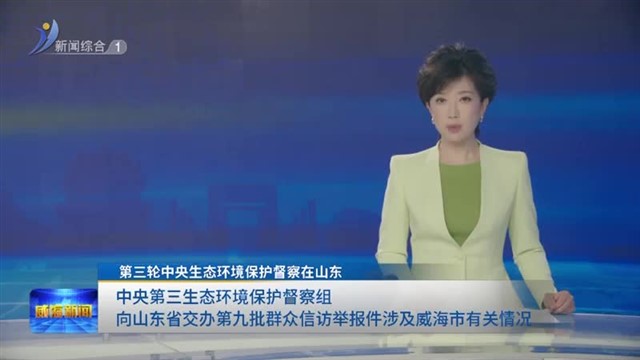 中央第三生态环境保护督察组向山东省交办第九批群众信访举报件涉及威海市有关情况