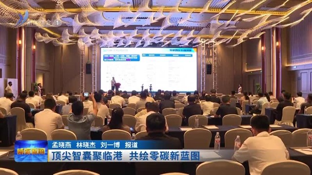 顶尖智囊聚临港 共绘零碳新蓝图