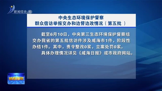 中央生态环境保护督察群众信访举报交办和边督边改情况（第五批）
