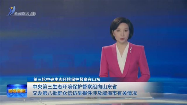 中央第三生态环境保护督察组向山东省交办第八批群众信访举报件涉及威海市有关情况