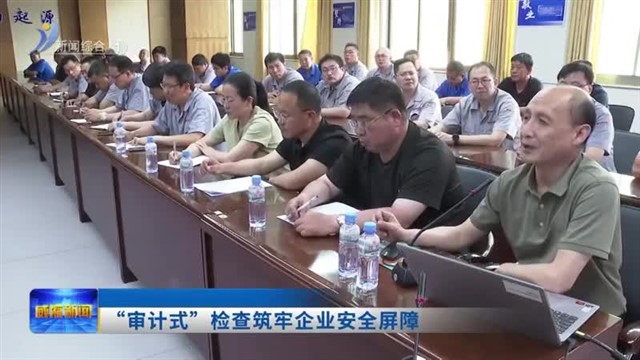 “审计式”检查筑牢企业安全屏障