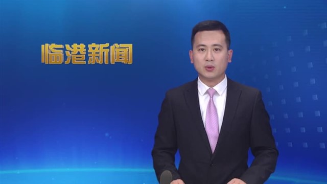 临港新闻2025-05-31