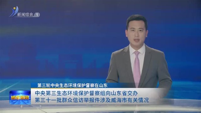 中央第三生态环境保护督察组向山东省交办第三十一批群众信访举报件涉及威海市有关情况