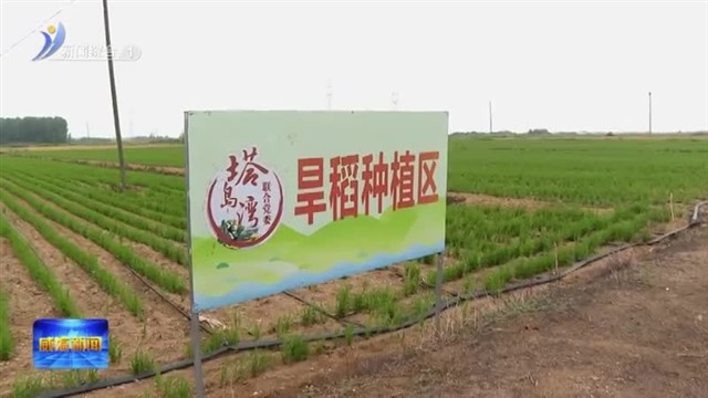 刘树军到乳山市调研“三夏”生产等工作