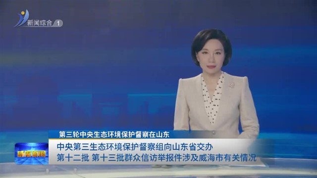 第三轮中央生态环境保护督察在山东中央第三生态环境保护督察组向山东省交办第十二批、第十三批群众信访举报件