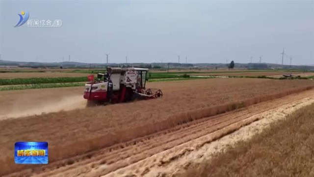 田间好“丰”景 夏收正当时