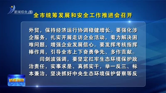 全市统筹发展和安全工作推进会召开